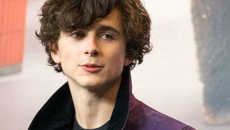 Timothee Chalamet Kimdir? Boyu, Kilosu, Göz Rengi