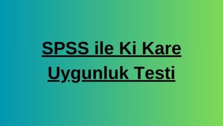 SPSS ile İstatistiksel Analizlerin Önemi